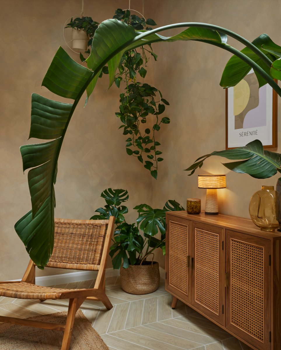 house spa interior design bromley london banana leaf plant rattan cane sideboard lamp