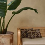 The Skin Co Spa interior design