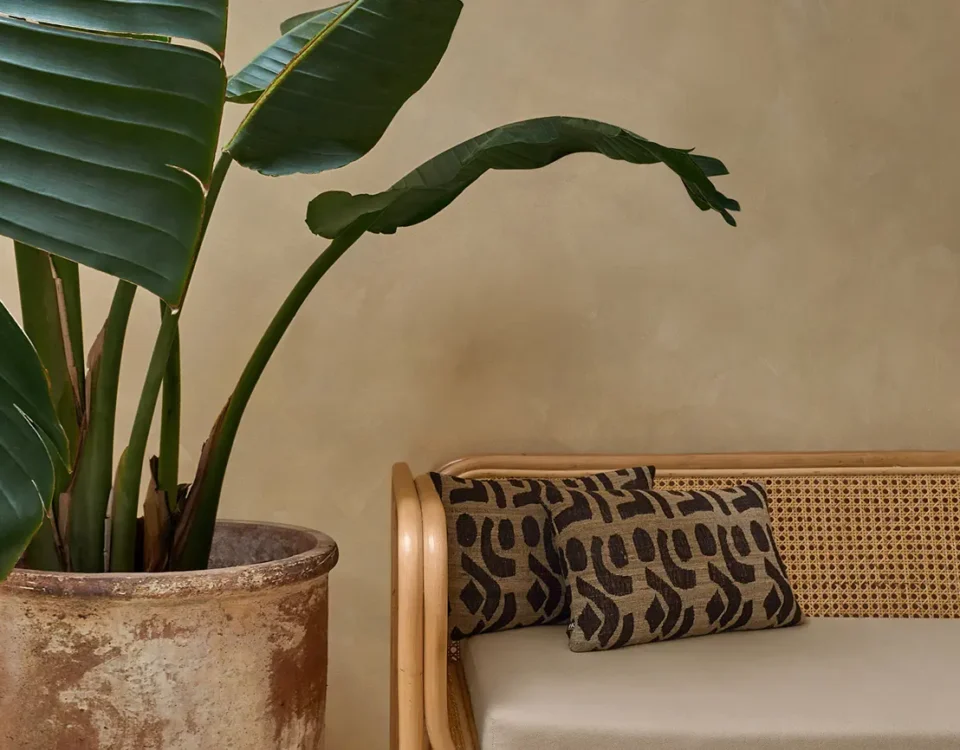 The Skin Co Spa interior design