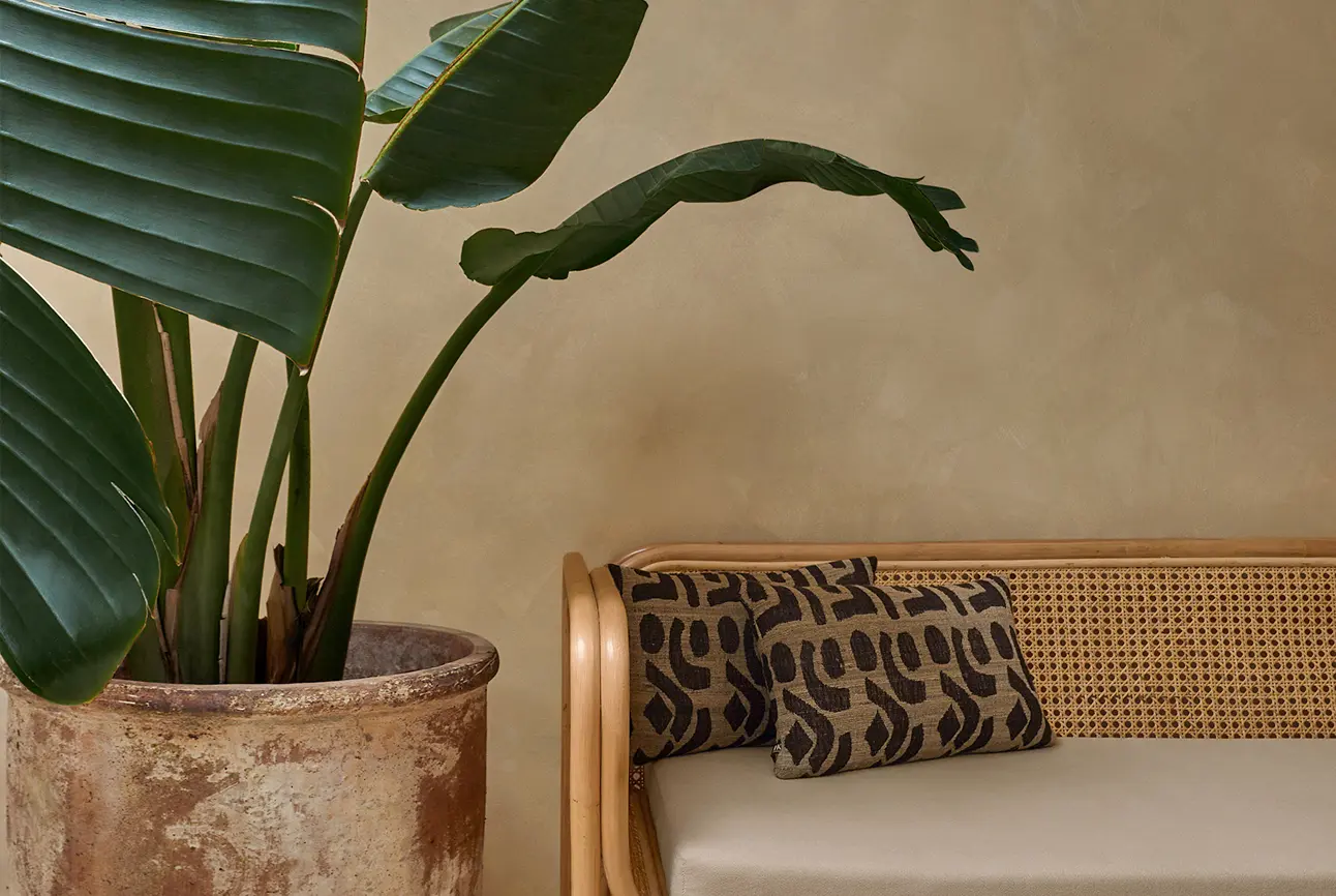The Skin Co Spa interior design