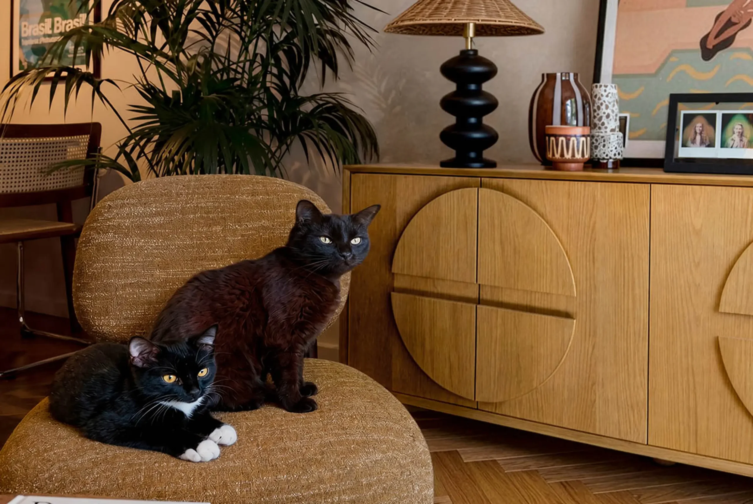 casa earth interior design london cats