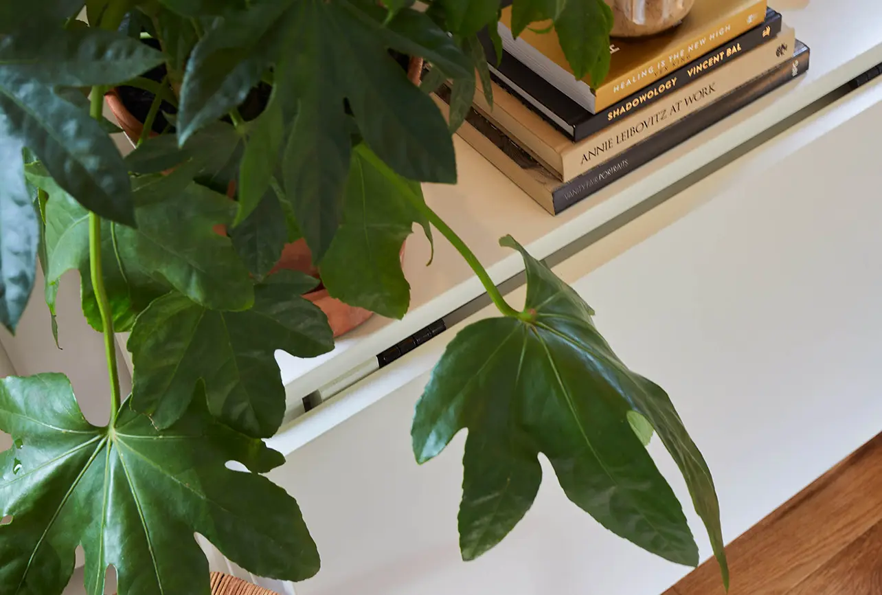house boat interior design london 04 shelf plant candle books