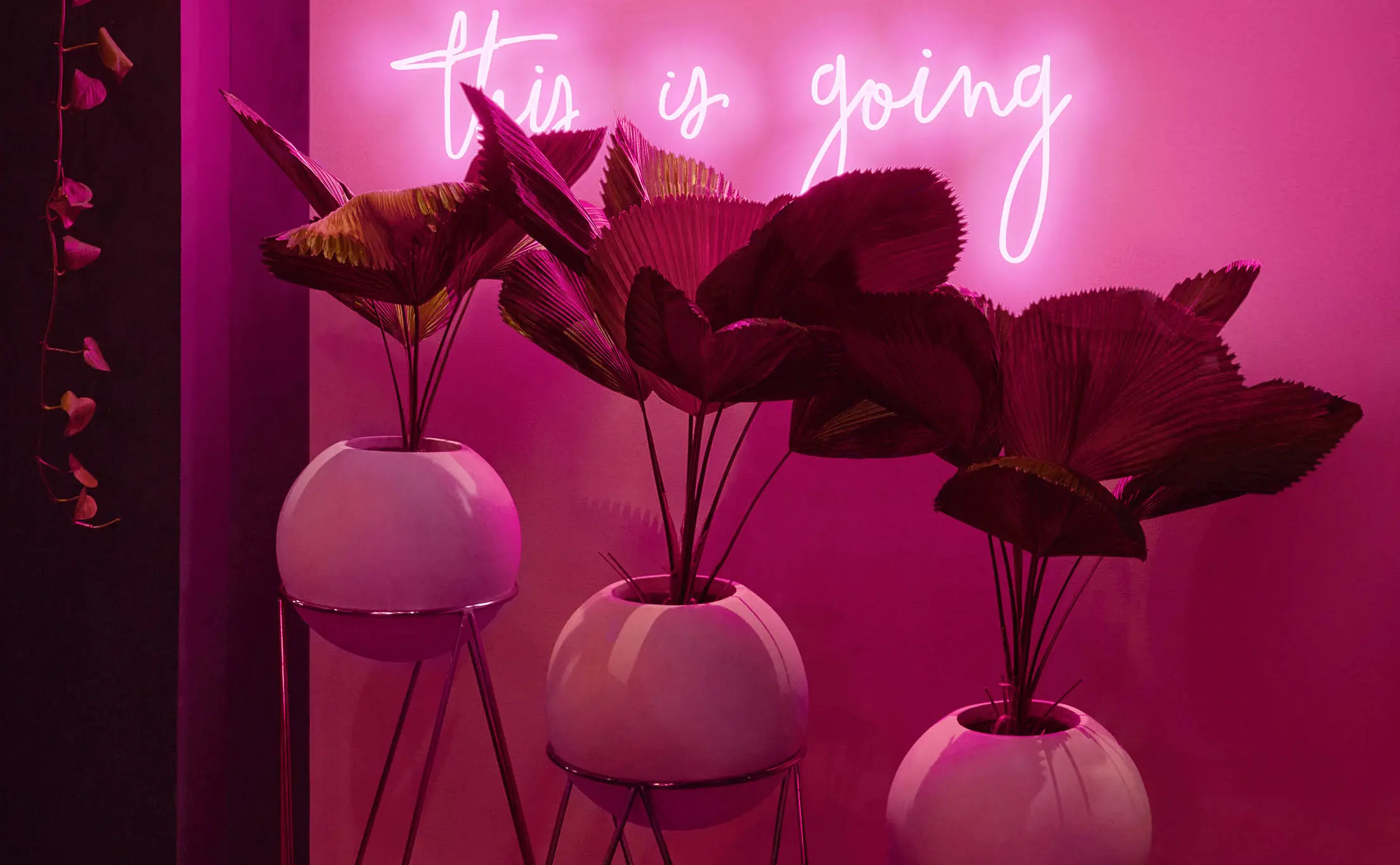 restaurant bar neon sign love where this is going pink decor london